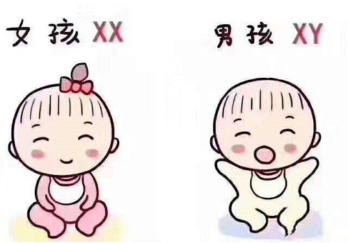 美国试管婴儿费用明细包括哪些费用