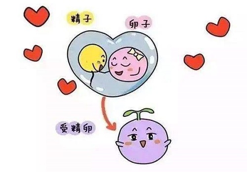 试管婴儿是自己亲生的吗？来了解！
