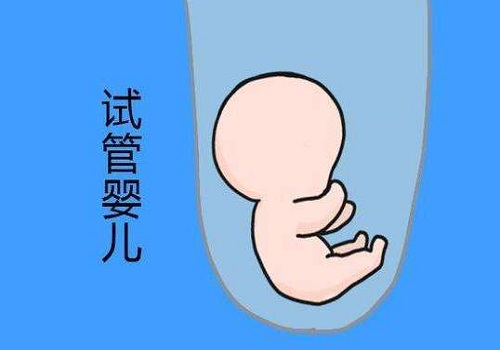 试管婴儿的私立医院费用大概多少