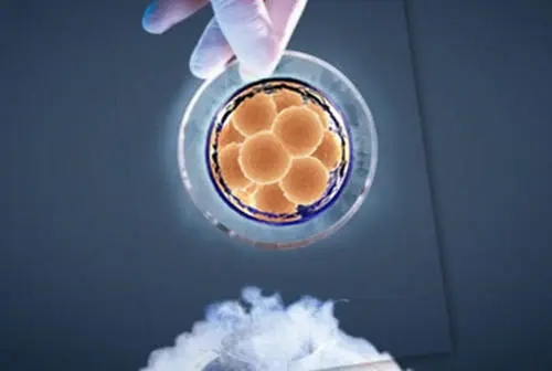 试管婴儿成功率最高的医院是哪家_2