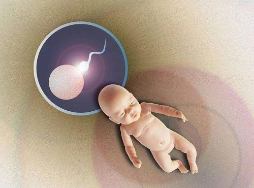 美国试管婴儿囊胚移植的最佳时机