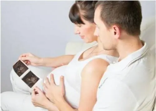 试管婴儿实验室步骤表是怎样？这几点很重要！