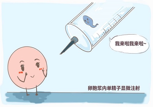 《三十而已》钟晓芹因染色体问题致胎停，美国试管可有效规避