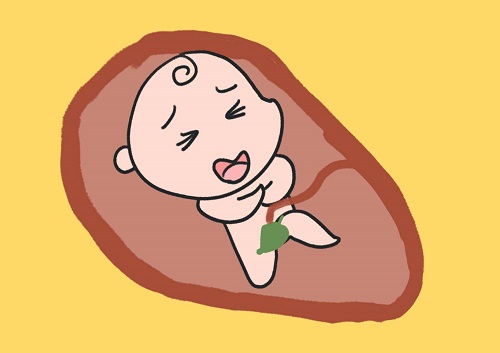 试管婴儿取卵、胚胎培养、胚胎移植过程是怎样的？