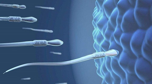 试管婴儿成功几率受什么影响？掌握好这四个诀窍更易成功！