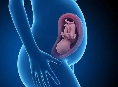 试管婴儿寿命短是真的吗？其实不是你想的那样！