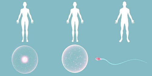 美国第三代试管婴儿技术是如何保证胚胎着床，提高成功率的？