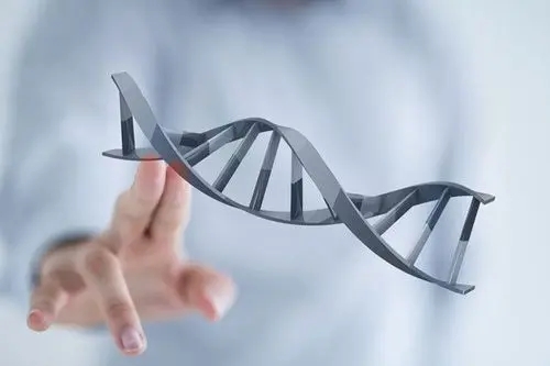 关于美国试管婴儿胚胎移植，你应该了解的四件事？