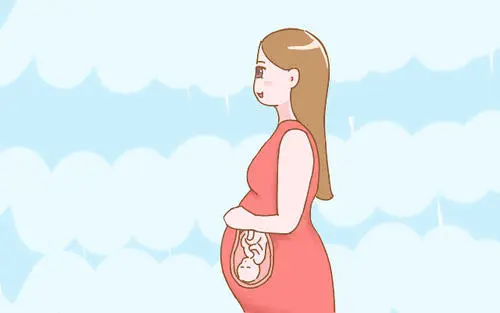 试管婴儿多少钱一回_2
