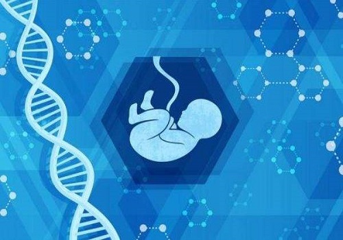 试管婴儿成功率及影响因素