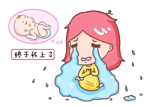 了解唐氏综合症发病机理 美国试管婴儿基因检测实现优生
