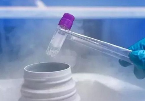 试管婴儿后还能生二胎的成功率高吗