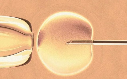 试管婴儿冷冻胚胎有什么用？为什么要把胚胎冷冻起来？