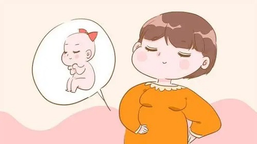 试管婴儿全过程只需要看三个阶段